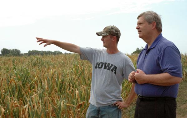 Фермер Эрик Кресс (слева) из Сентер-Пойнт, штат Айова, показывает министру сельского хозяйства США Тому Вилсаку, как продолжающаяся засуха повредила его посевы кукурузы. 23 июля 2012 г.   USDA photo by Darin Leach