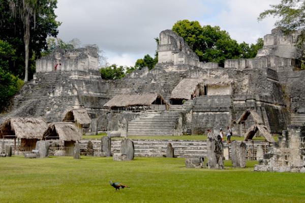 Тикал, северная Гватемала. Один из памятников классического периода майской империи (3-9 век)