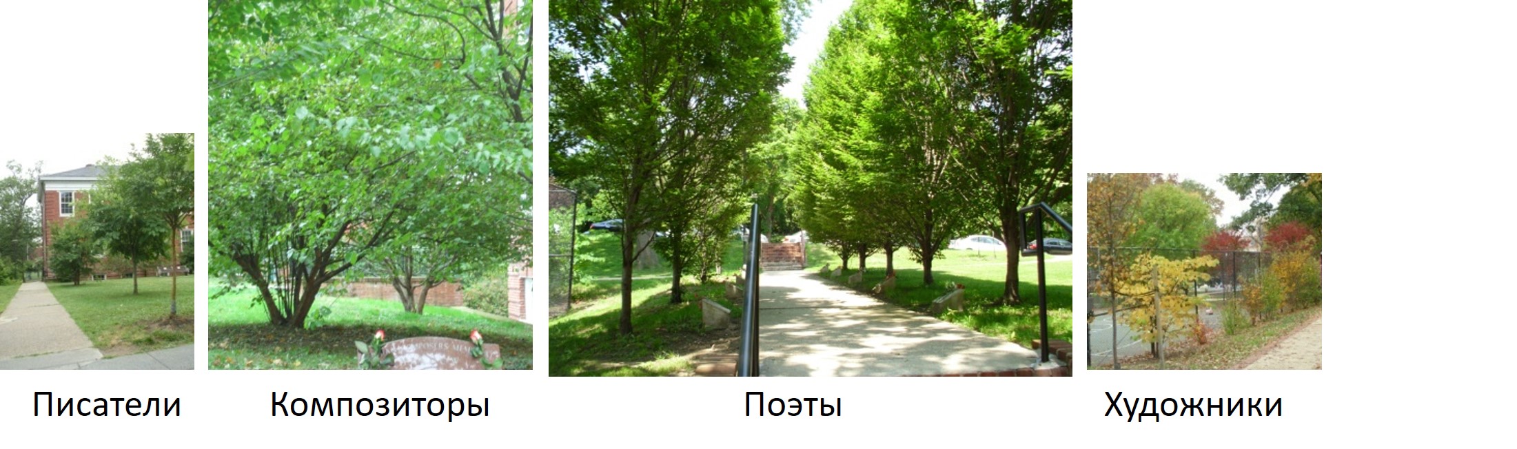 355.jpg
