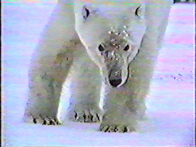 4533.jpg