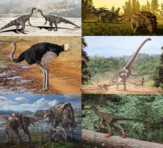 527px-Dinosauria_diversity.jpg