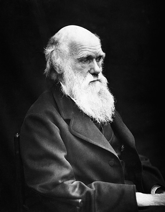 560px-Charles_Darwin_01.jpg