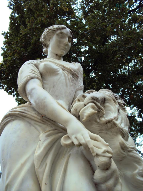 Lion_1_DSC01176.JPG
