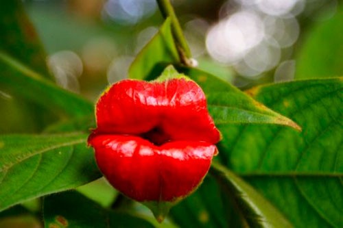 PRAVILA_SYoRFERA._Chast_3-4.jpg