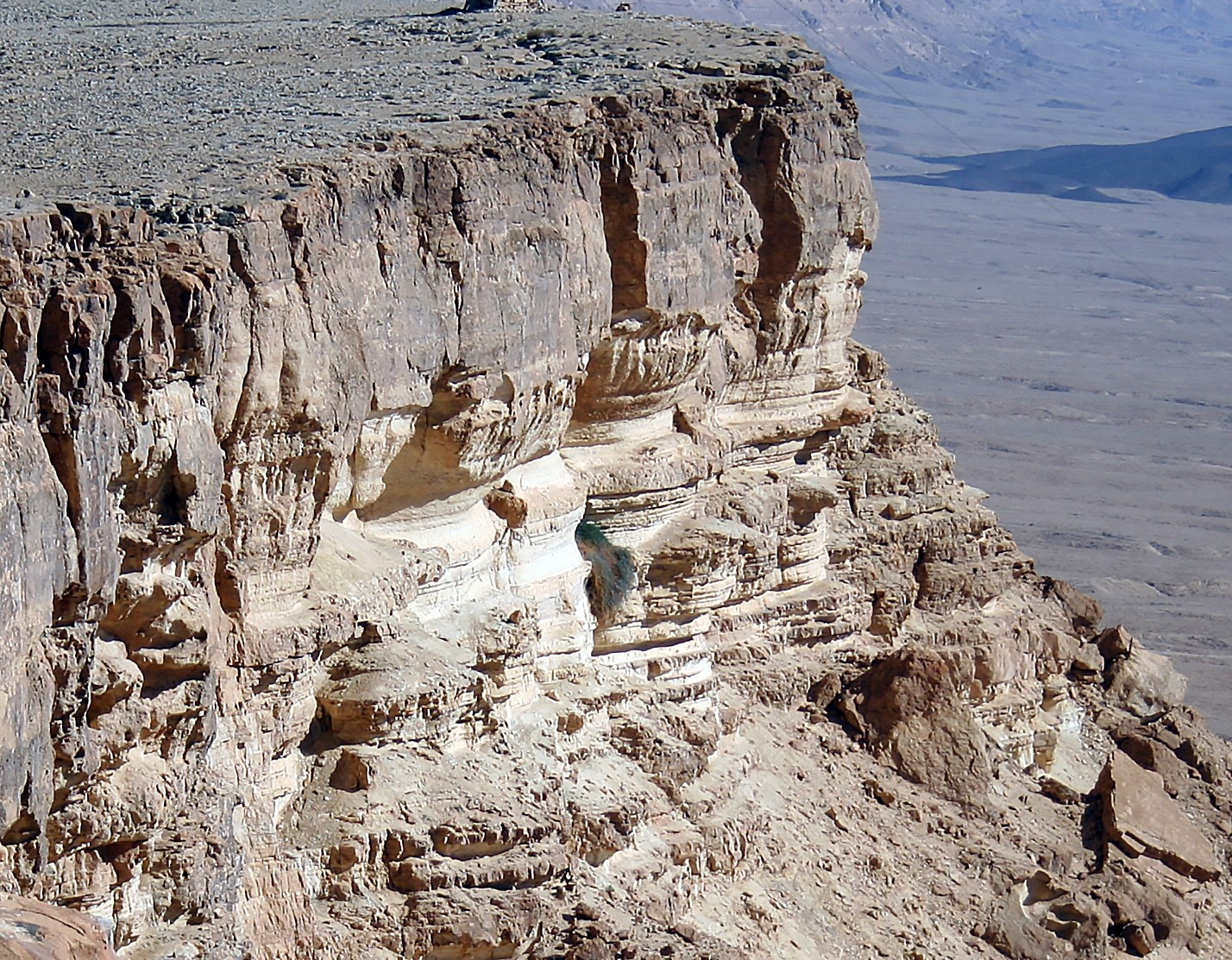 Pustynya_Negev._Chast_3-1.jpg