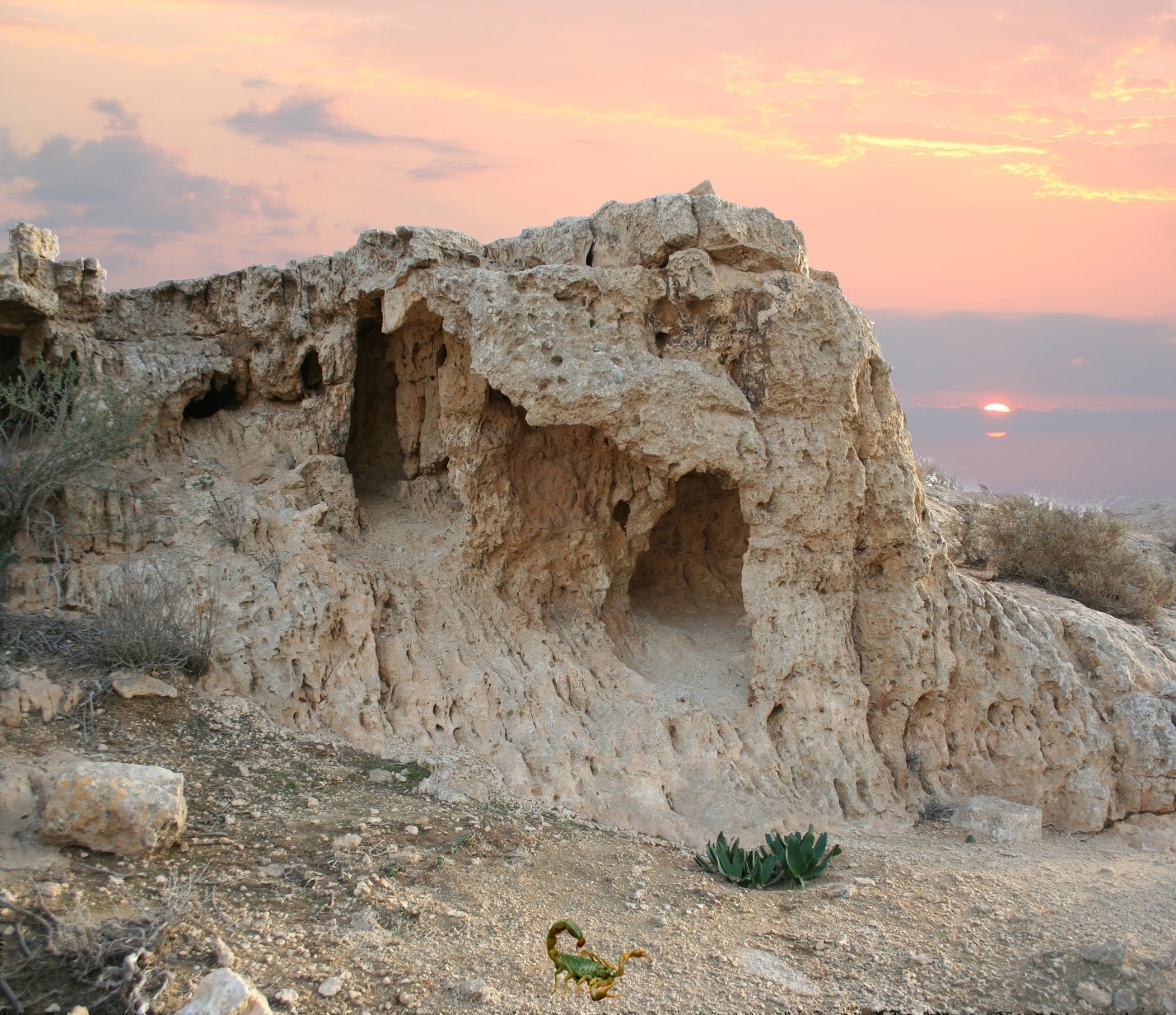 Pustynya_Negev4.jpg