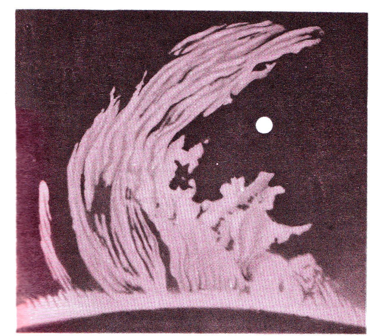 Ris.1.jpg