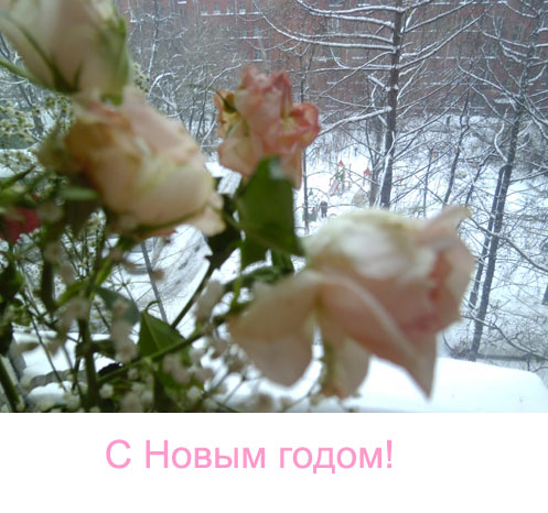 S_novym_godom.jpg