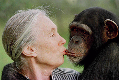 TV-JANE-GOODALL.jpg