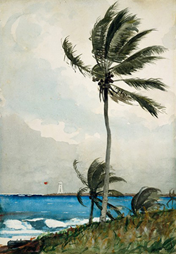 The_Palm_Tree_in_Nassau.jpg