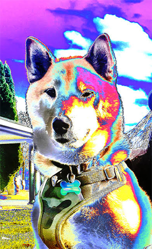 Untitled-2.jpg