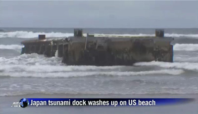 К тихоокеанскому побережью штата Орегон около города Ньюпорт причалил плавучий док, который был смыт в океан знаменитым японским цунами марта 2011 года. 