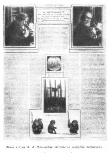 mechnikov1.jpg