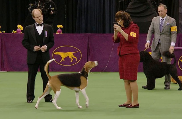 moment sorevnovaniy w.jpg