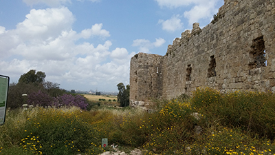 nikogo.jpg