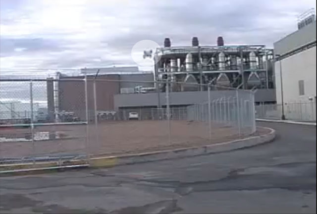 Flea-Bot Can Jump by music Technology Julrs_w.jpg