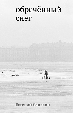 slivkin_cover.jpg