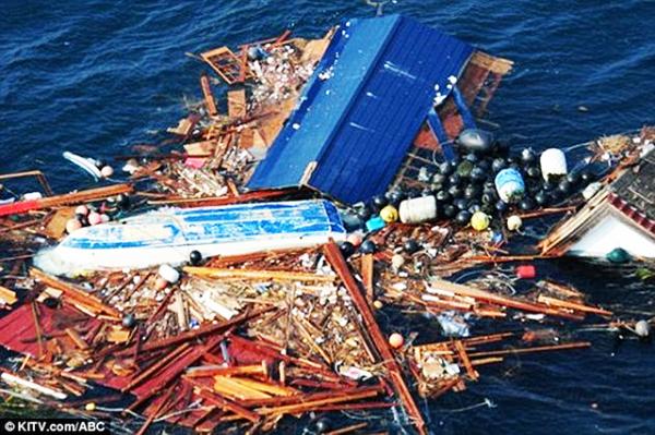 Мусор, снесенный 11 марта 2011 г. в Тихий океан цунами в Японии.  Photo courtesy: KITV.com / ABC News