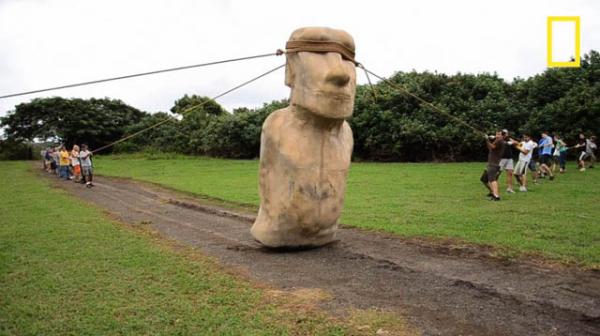 Три группы людей с канатами заставили пятитонную модель скульптуры моаи «шагать». Эксперимент Липо и Ханта. Photo Courtesy: National Geographic