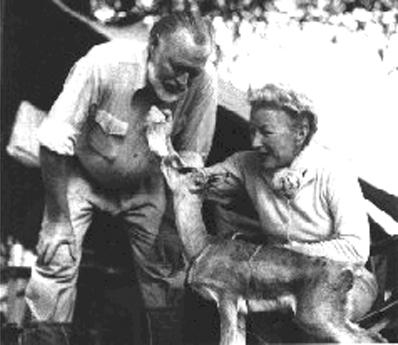 1954 г. Эрнест Хемингуэй и Мэри Уэлш кормят газель