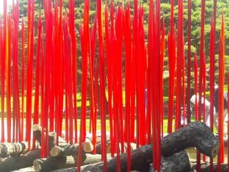 Красные камыши на брёвнах / Courtesy: The New York Botanical Garden
