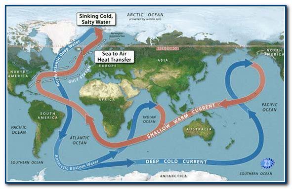 Основные мировые океанические  течения. Гольфстрим берет начало в Мексиканском заливе направляется к Европе (темный цвет «реки»), поворачивает в сторону Гренландии, охлаждается (серый, светлый цвет «реки»), погружаясь на глубину, и течет на юг. По новым данным, русло Гольфстрима (поверхностный теплый поток) отклонилось за последнее время в сторону Гренландии на 800 км. 