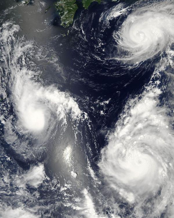На этой фотографии, сделанной в 12:35 дня по местному времени 7 августа 2006 года в западной части Тихого океана, изображены три тропических циклона, причем, на трех разных стадиях формирования. Фотографии были сделаны из космоса с помощью спектрорадиометра MODIS, установленного на спутнике американского агентства НАСА. Самый молодой из трех ураганов «Бофа» (Bopha) изображен слева, ему всего несколько часов. Вверху справа — «Мария» (Maria) — этот циклон всего на день старше, но его форма уже демонстрирует вихревую, спиральную структуру, у которой центральный «глаз» только прорисовывается. Оба эти шторма в это время имели приблизительно одинаковую скорость ветра — около 90-100 км в час. На день старше «Марии», наиболее мощный из трех — тайфун «Саомаи» (Saomai), изображенный справа внизу. Его скорость ветра равнялась 140 км в час и росла по мере его дальнейшего продвижения, и он направлялся к берегам Китая. У «Саомаи» — сформировавшаяся структура урагана с четко видимым «закрытым глазом» в центре. Ураганы на снимке расположены на расстоянии нескольких сот километров друг от друга. NASA image by Jeff Schmaltz, MODIS Rapid Response Team, Goddard Space Flight Center