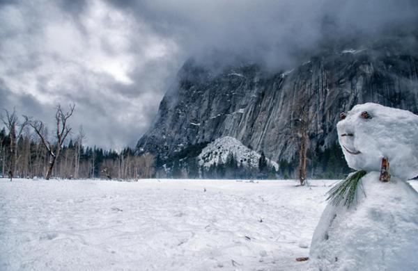 Фотография, представленная  на конкурс Flickr:  В Йосемитском национальном парке , автор Кэт Коннер