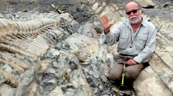 5-метровый хвост динозавра (гадрозавра) был откопан в пустыне северной Мексики палеонтологами. Photo courtesy: INAH / Seagull Publ