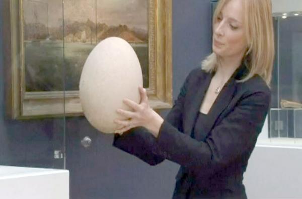 Аукцион «Кристис» представляет корреспондентам выставленное на аукцион яйцо «слоновой птицы». За него заплатили 100 тысяч долларов. Photo Courtesy: kxan.com/Seagull Publ.