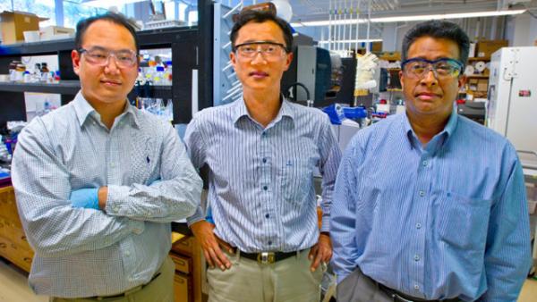 Ученые Национальной лаборатории имени Лоуренса в калифорнийском городе Беркли Сонг-Вок Ли (слева), Байонг Янг Ли (в центре) и Рамамурти Рамеш создали вирусное нановолокно, позволяющее генерировать электричество как пьезоэлектрик