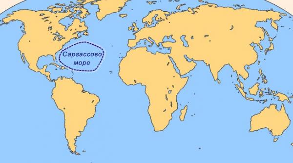 Саргассово море расположено в районе Бермудского треугольника