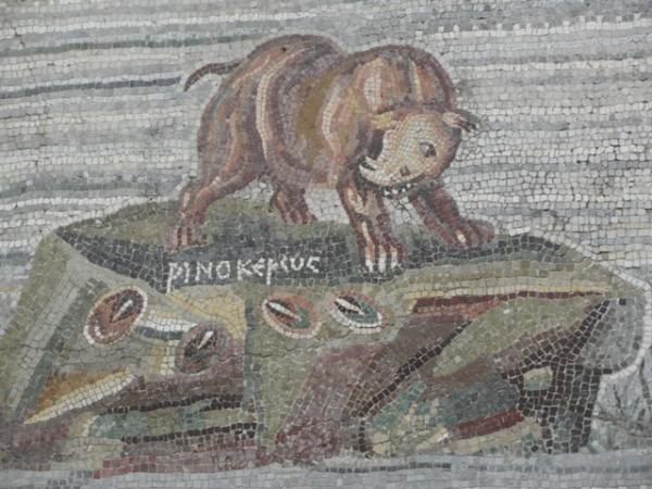 Фрагмент Нильской мозаики.