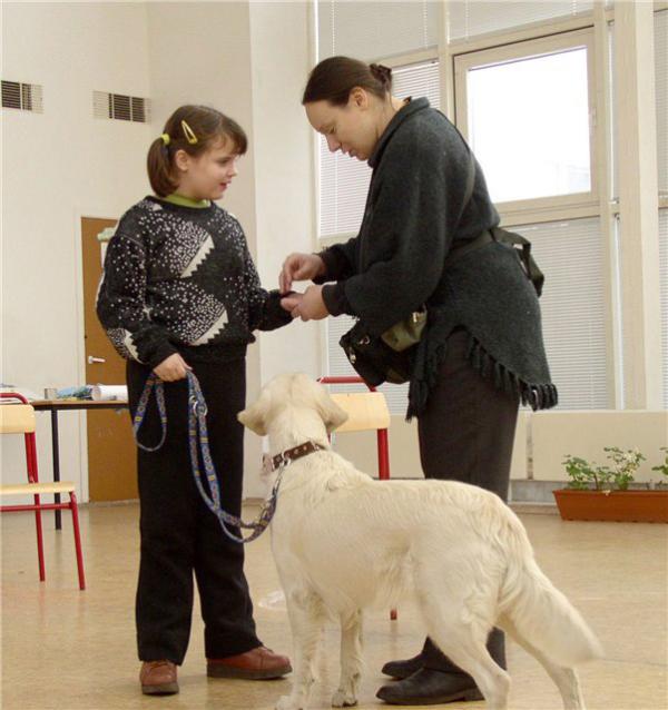 В 2004 году 10-летняя москвичка Соня Шаталова, которая панически боялась всех собак, так как ее в детстве напугала овчарка, проходила курс «собакотерапии». Она водила собаку Олли на поводке, играла с ней в мячик, угощала печеньем... Photo Courtesy:forum.kinologia.ru 