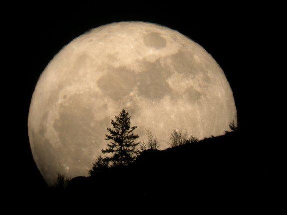 Любитель астрономии Тим МакКорд из Энтиэта, штат Вашингтон, сделал эту фотографию 19 марта 2011 года, когда в прошлом году наблюдали суперлуну. Фото сделано с помощью сильного телескопического объектива, когда Луна всходила из-за горизонта.