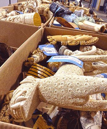 us_crush_ivory_repo_web.jpg